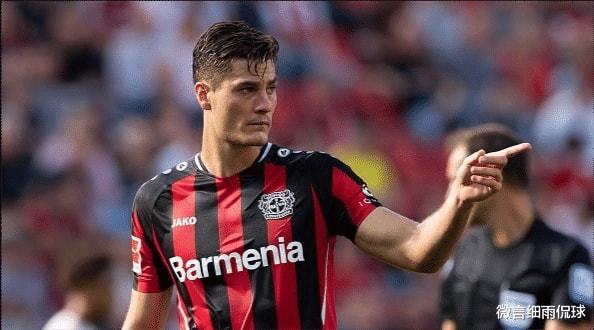 乏透明度的 乏透明度的