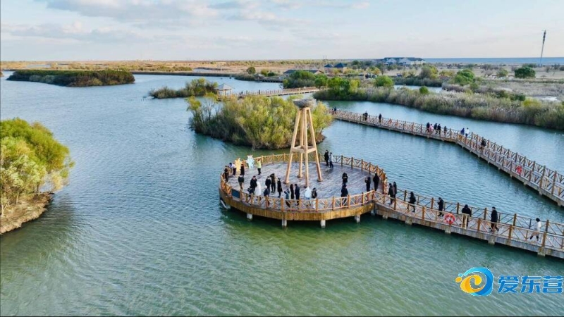 不仅仅是比 不仅仅是比