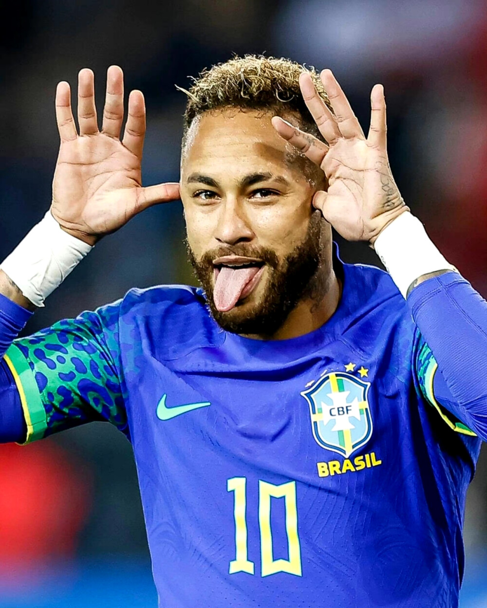 金与集体目 金与集体目